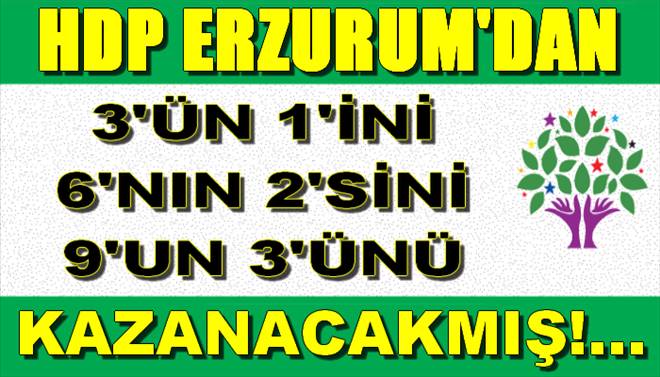 Erzurum`da HDP Milletvekili Çıkarır mı?