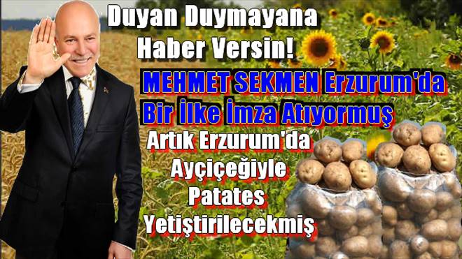 Erzurum`da Patates ve Ayçiçeği Yetiştirilecekmiş
