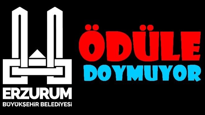 Erzurum Büyükşehir Belediyesi ödüle doymuyor 