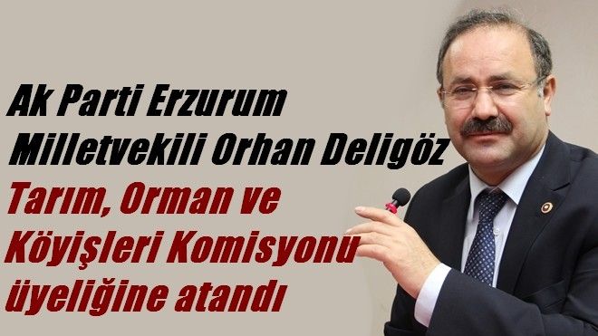 Orhan Deligöz, Tarım, Orman ve Köyişleri Komisyonu üyeliğine atandı