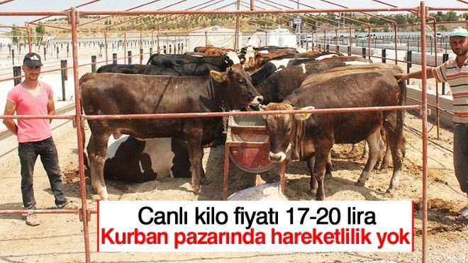 Erzurum Kurban pazarında hareketlilik yok