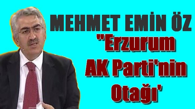 Mehmet Emin Öz, 