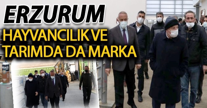 Başkan Sekmen: “Erzurum, hayvancılık ve tarımda da marka bir kent oldu”