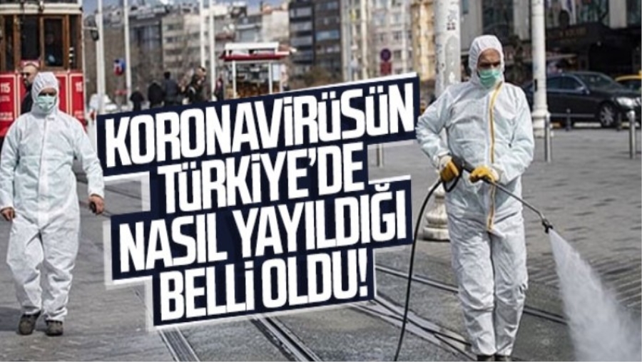 Koronavirüsün Türkiye
