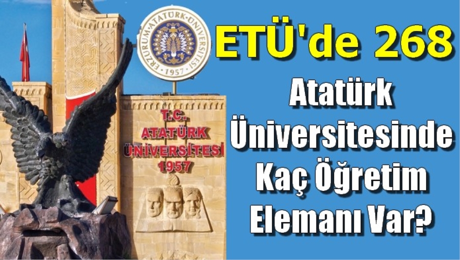 Atatürk Üniversitesinde Kaç Öğretim Elemanı Var?