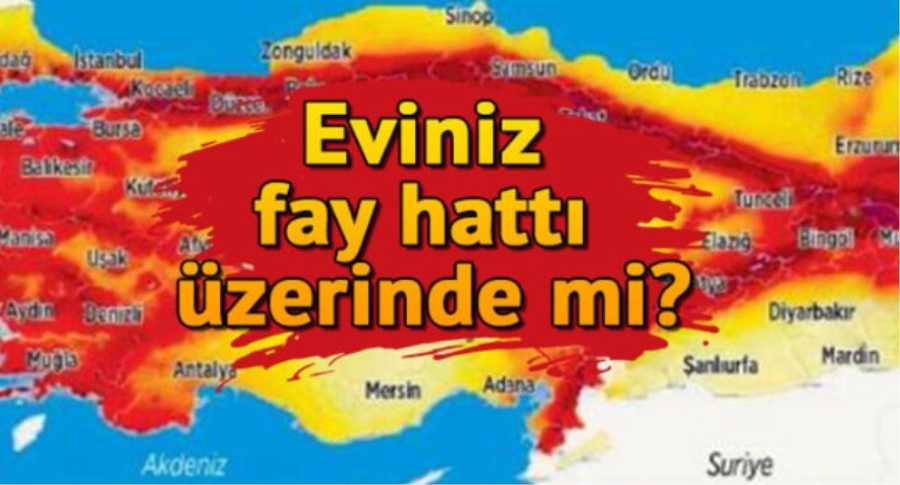 Doğu Anadolu ve Kuzey Anadolu Fay Hattı nerelerden geçiyor?