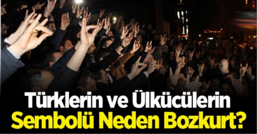 Türklerin ve Ülkücülerin Sembolü Neden Bozkurt?