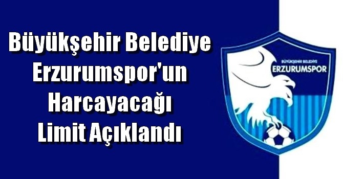 Büyükşehir Belediye Erzurumspor