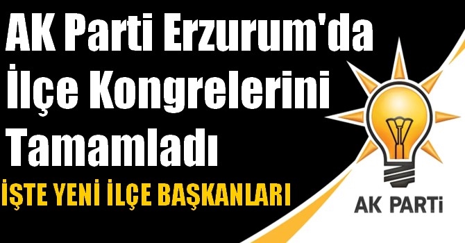 AK Parti Erzurum