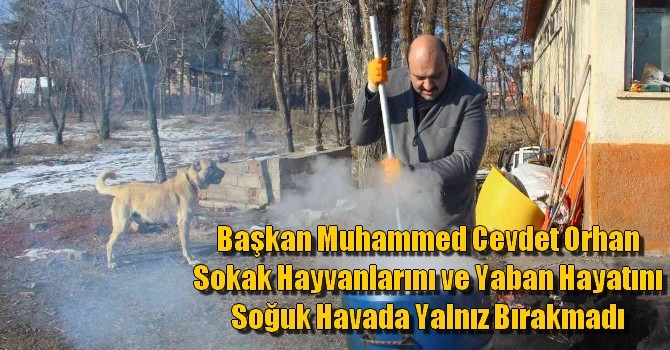 Muhammed Cevdet Orhan Sokak Hayvanlarını ve Yaban Hayatını Soğuk Havada Yalnız Bırakmadı