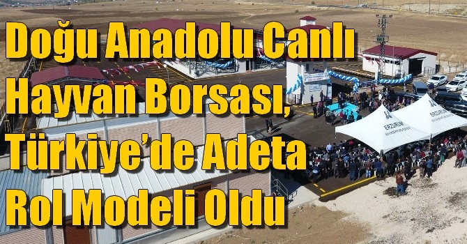 Doğu Anadolu Canlı Hayvan Borsası, Türkiye’de Adeta Rol Modeli Oldu
