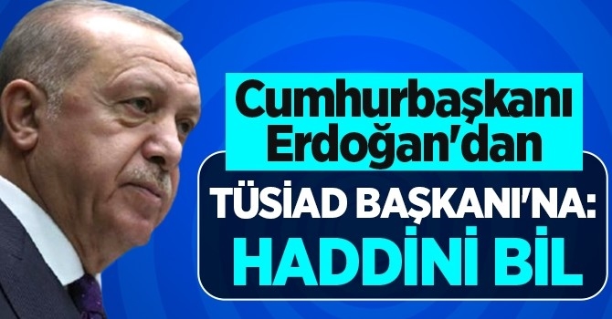 Cumhurbaşkanı Erdoğan TÜSİAD Başkanı