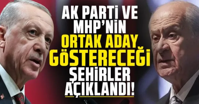 AK Parti ve MHP