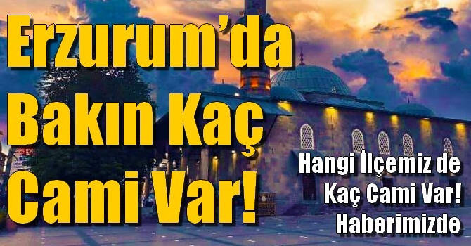 Erzurum’da Bakın Kaç Cami Var!