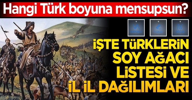 Hangi Türk boyuna mensupsun? İşte Türklerin soy ağacı listesi ve il il dağılımları