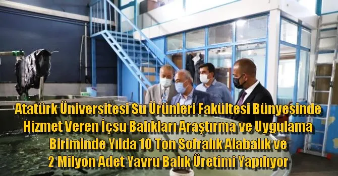 Atatürk Üniversitesi Su Ürünleri Fakültesi bünyesinde hizmet veren İçsu Balıkları Araştırma ve Uygulama Biriminde yılda 10 ton sofralık alabalık ve 2 milyon adet yavru balık üretimi yapılıyor