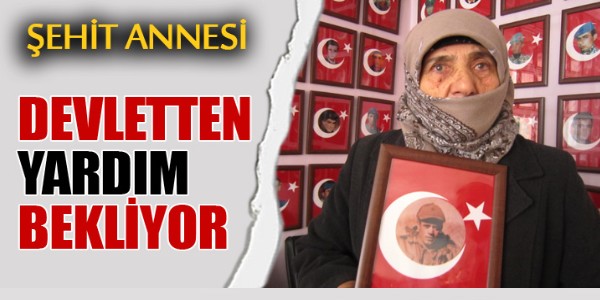 Erzurum`lu Şehit Annesi devletten yardım bekliyor