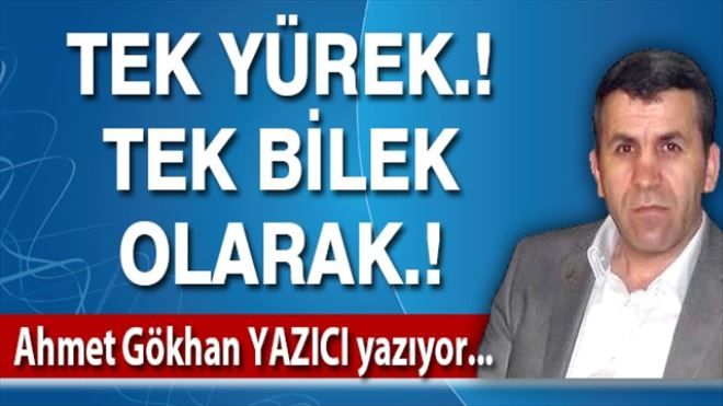 TEK YÜREK.! TEK BİLEK OLARAK.!