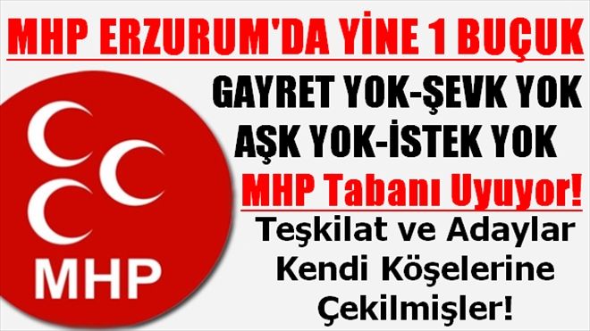 MHP ERZURUM´DA YİNE BİR BUÇUK