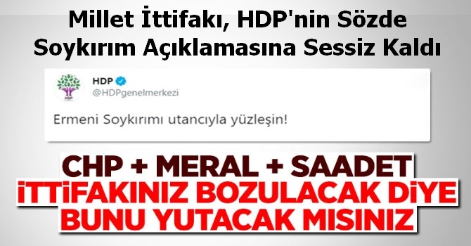 Millet İttifakı, HDP