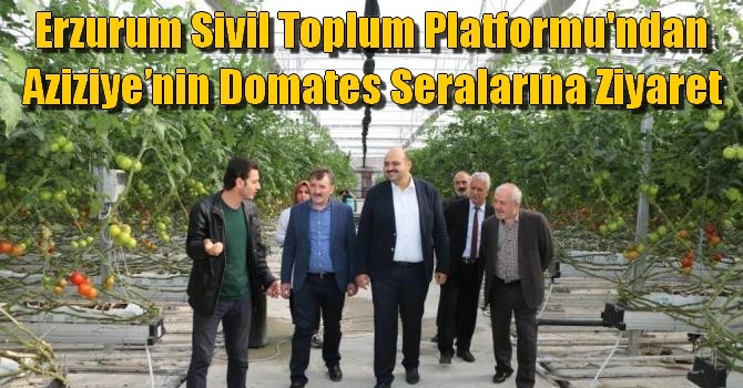 Erzurum Sivil Toplum Platformu