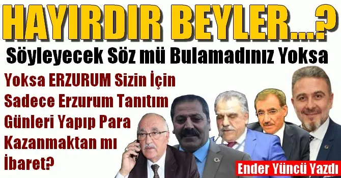 HAYIRDIR BEYLER SÖYLEYECEK SÖZ MÜ BULAMADINIZ?