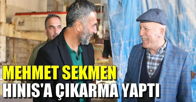 MEHMET SEKMEN HINIS
