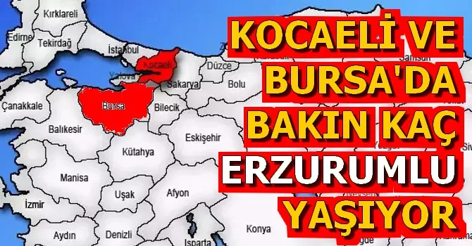 KOCAELİ VE BURSA