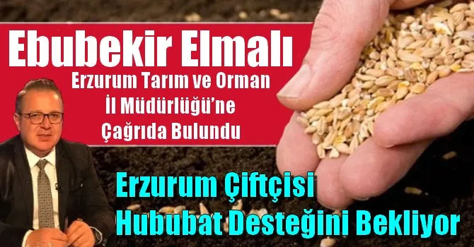 Ebubekir Elmalı, “Erzurum Çiftçisi Hububat Desteğini Bekliyor”