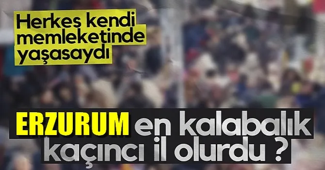 Herkes kendi memleketinde yaşasaydı; ERZURUM en kalabalık kaçıncı il olurdu ?