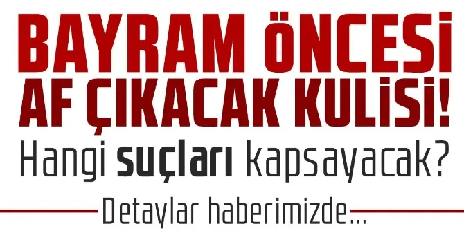 Af çıkacak kulisi! Hangi suçları kapsayacak?