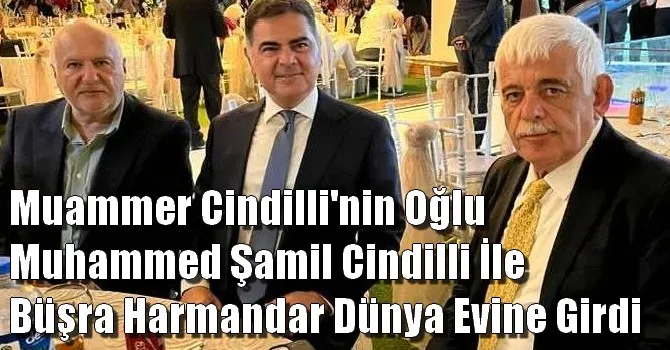 Cindilli Ailesi