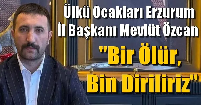Mevlüt Özcan, 