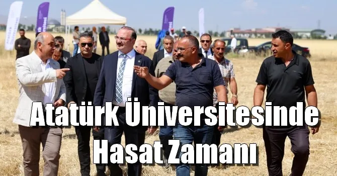 Atatürk Üniversitesinde hasat zamanı