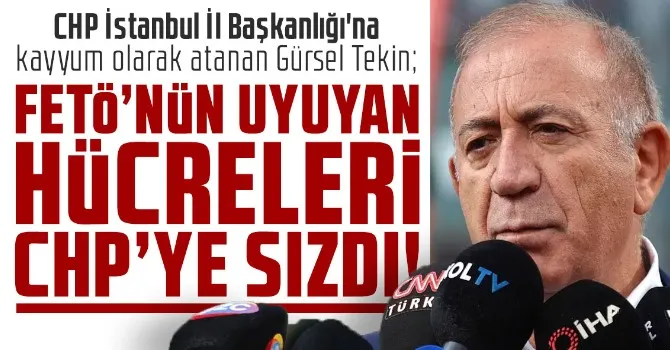 Gürsel Tekin: 
