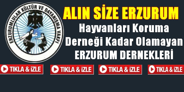 Erzurum`a Yakışmayan Erzurum Dernekleri