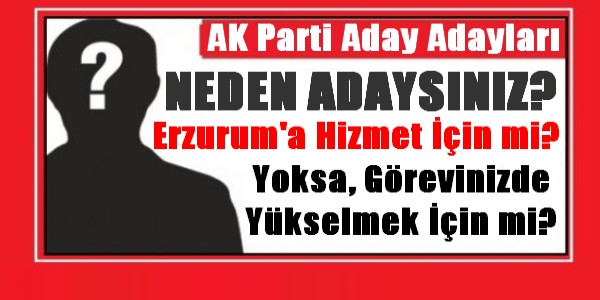 Erzurumlu Seçmen Soruyor?